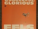 Eels - WONDERFUL, GLORIOUS VINYL 2X 10