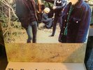The Pastels – Sittin' Pretty - LP 1989 ITA Chapter 22 – CHAPLP 43 NEAR MINT