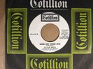 C & Shells COTILLION 44041 M- WHITE LABEL PROMO 