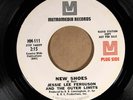Jesse Lee Ferguson & The Outer Limits METROMEDIA 111 VG+ WHITE LABEL PROMO 45
