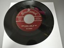 THE CRICKETS Someone Someone / Loves Made A Fool BRUNSWICK 55124 B. HOLLY HEAR