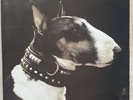 Pixies ‎– Here Comes Your Man/ Into The White - 1989 Aust press 7'' Single EC