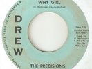 THE PRECISIONS Why Girl What I Want DREW DETROIT NORTHERN SOUL USA 45