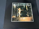 Tones On Tail - Pop - UK 1984 Bega 51 Lyric Inner Sleeve Ultrasonic Cleaned NM
