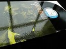 Art Blakey & The Jazz Messengers **US Blue Note BLP 4003 Deep Groove Mono**