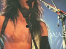 W.A.S.P. Interview Picture Limited Edition + ein SHAPE Special Limited Edition