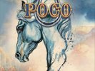 Poco One Night in Nashville (Vinyl) (US IMPORT)