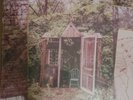The Marcus King Band / Carolina Confessions 180 GRAM VINYL SEALED Ships Fast
