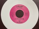 The Informers NORTHERN SOUL DOOWOP 45 If You Love Me J-RUDE WHITE WAX REPRO MINT