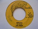 JOE WHITE Kenyata PANTHER  Killer  Inst Roots Reggae 7