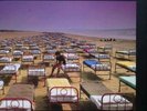 Pink Floyd - A Momentary Lapse Of Reason Vinyl Record Album Lp Brand New