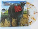 BLINK 182 Dude Ranch LP CLEAR w/SPLATTER VINYL HOT TOPIC PUNK HC UNPLAYED