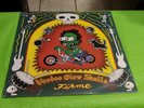 Voodoo Glow Skulls Firme LP - Epitaph 86454-1 - 1995 - SEALED