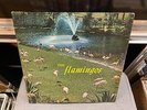 The Flamingos s/t self titled Checker LP 1433 1959 mono VG [Chess Doo Wop]