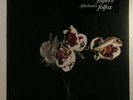 AFTERHOURS : FOLFIRI O FOLFOX    -    2LP  2016  -  sigillato