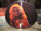 LED ZEPPELIN Vinyl Lp Picture Disc CENTRAL PARK 1969 Only 2000 Made