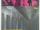 The Replacements • Tim • PINK Colored OOP Vinyl LP • New Unplayed Open Copy