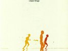 Zero 7 - Simple Things Vinyl (2xLP, Album, RE, RM, 180)