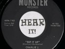 Wild Rockabilly Garage Rocker 45 CHARLIE J. & THE WOOLFMEN Rip It MONSTER rare