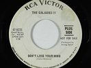 Garage Psych 45 - Galaxies IV - Don't Lose Your Mind - RCA Victor - mp3