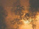 ACOU634457248717 Mandolin Orange / Blindfaller Vinyl Record