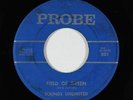 Garage 45 - Sounds Unlimited - Field Of Green - Probe - VG+ mp3 - obscure
