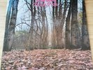 Twink - Think Pink - Pink Vinyl LP - Italy Reissue