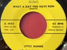 Little Ronnie and the Chromatics What a Day This Have Been 45 Rare Bay Area Funk