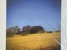 Sun Kil Moon “Benji” 2014 Yellow Vinyl LP NEW Mark Kozelek Caldo Verde RARE