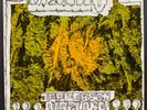 Jefferson Airplane Mexico Have you Seen the Saucers Yellow RCA Promo Label