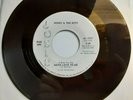 Northern Soul HONEY & the BEES (1970).....RARE Original Josie 1017 WLP PROMO NM9