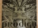 The Prodigy - Charly (Vinyl 12'') UK 1991 XLT21, Vinyl