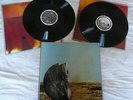 ZOVIET FRANCE - SHOUTING AT THE GROUND, RED RHINO, 1988, EX/M- , DLP