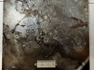 Cocteau Twins Head Over Heels LP 1983 4AD Vinyl CAD 313 UK Import