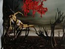 PROFANATICA -Broken Jew 7