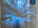 NEW SEALED Hum - Downward Is Heavenward Limited Edition Blue Vinyl