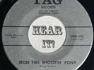 Great TN Trucker Country Rocker 45 RAY SALTER Iron Fire Shootin' Pony TAG hear