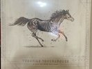A Long Way From Your Heart by Turnpike Troubadours (Record, 2017)