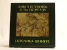 Robyn Hitchcock & The Egyptians – Luminous Groove