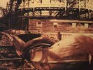 RED HOUSE PAINTERS Red House Painters DOUBLE LP VINYL Europe 4ad 2015 2 LP