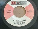 Wayne & Ray - Sweet Lou/My Only Love * 20th Century TC1211 Rockabilly 45