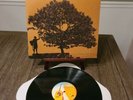 Jack Johnson In Between Dreams LP Vinyl Record 2005 Brushfire Records Gatefold
