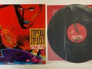 Temporary Sanity - The Last Summer 1991 LP 12” Vinyl Phonokol Israeli Pop Rock