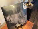 Lana Del Rey - Chemtrails over the Country Club (Vinyl, 2021) RSD