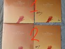 The Lumineers - Brightside signed print on tangerine coloured vinyl