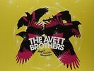 AVETT BROTHERS - Magpie And The Dandelion [2 Lp] - 2 Vinyl - **SEALED/ NEW**