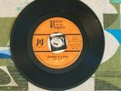 Prince and the Paupers 45 Shoulder of a Giant / Exit 1965 Minnesota Garage VG