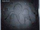 KATE BUSH 50 Words For Snow FISH PEOPLE FPLP007 2XLP europe gatefold SEALED   