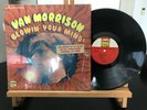 VAN MORRISON BLOWIN’ YOUR MIND  BANG RECORDS BLP218 USA 1967 VG+/VG+