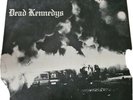Dead Kennedys Vinyl Fresh Fruit For Rotting Vegetables